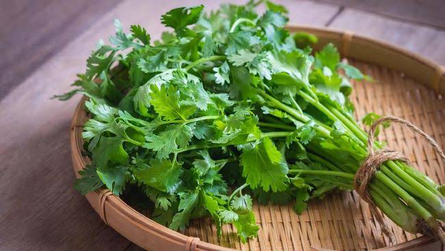 7 Tumbuhan Herbal yang Bisa Menyehatkan Ginjal