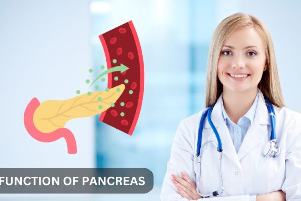 10 Langkah Sederhana untuk Menjaga Fungsi Pankreas Sehari-hari 10 Langkah Sederhana untuk Menjaga Fungsi Pankreas Sehari-hari