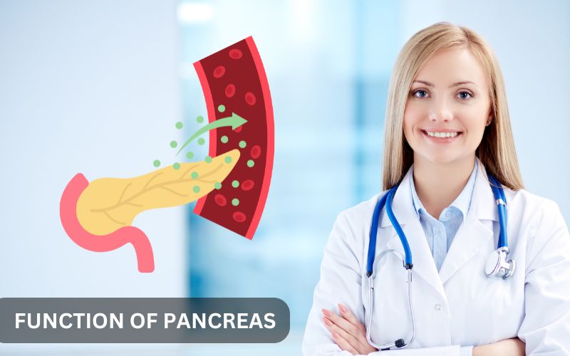 10 Langkah Sederhana untuk Menjaga Fungsi Pankreas Sehari-hari