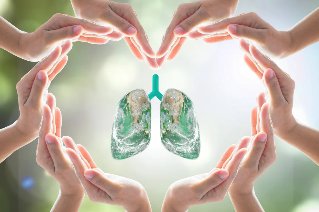 5 Panduan Detoks Paru-paru: Langkah-langkah untuk Kesehatan Pernapasan Optimal