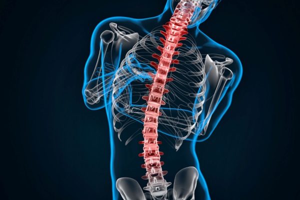 10 Fakta Menarik tentang Kesehatan Tulang Belakang yang Perlu Anda Tahu 10 Fakta Menarik tentang Kesehatan Tulang Belakang yang Perlu Anda Tahu